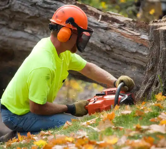 tree services Ingold